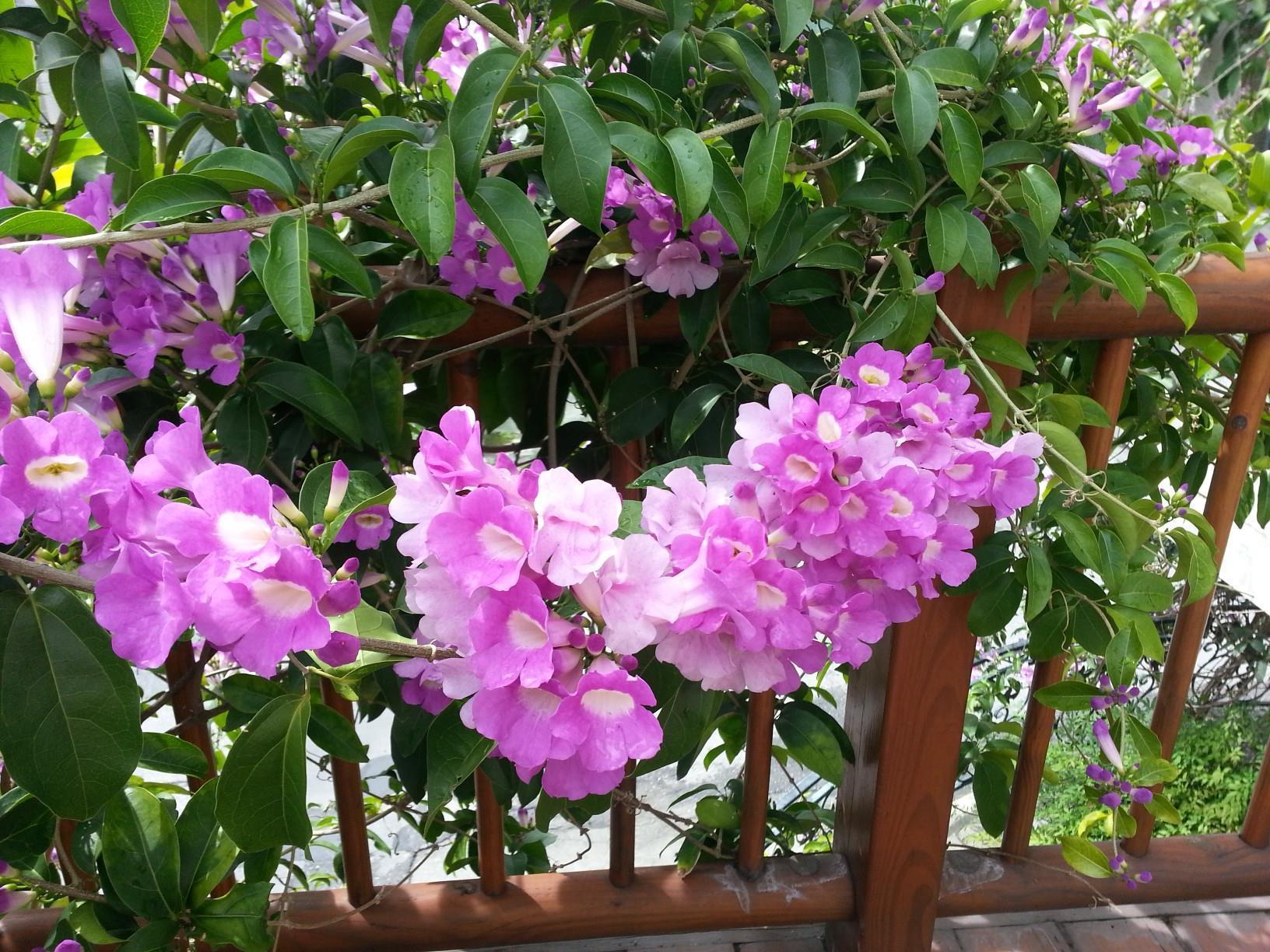 Melody Homestay Hualien City Exterior foto